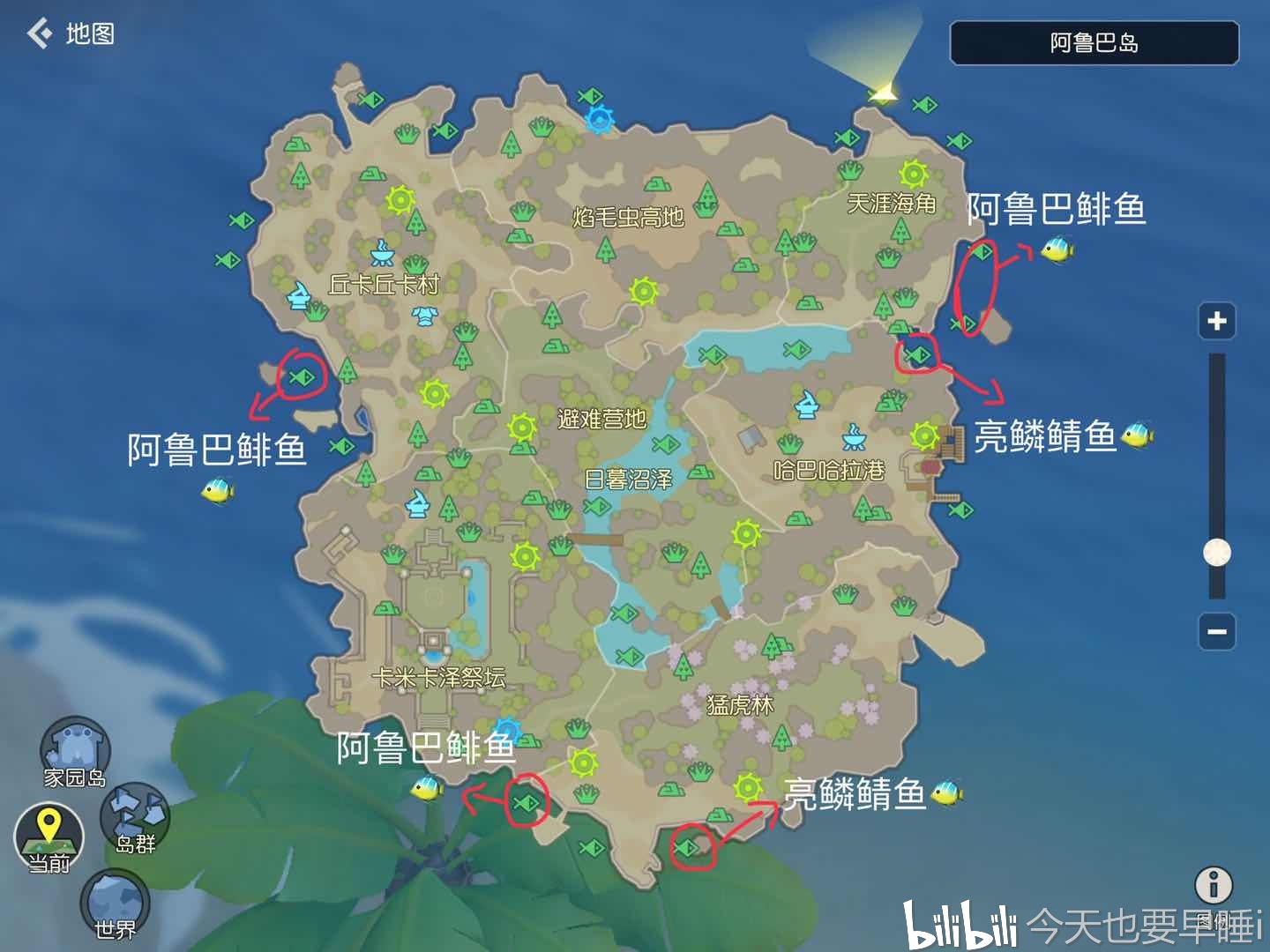 阿鲁巴岛-鱼王分布