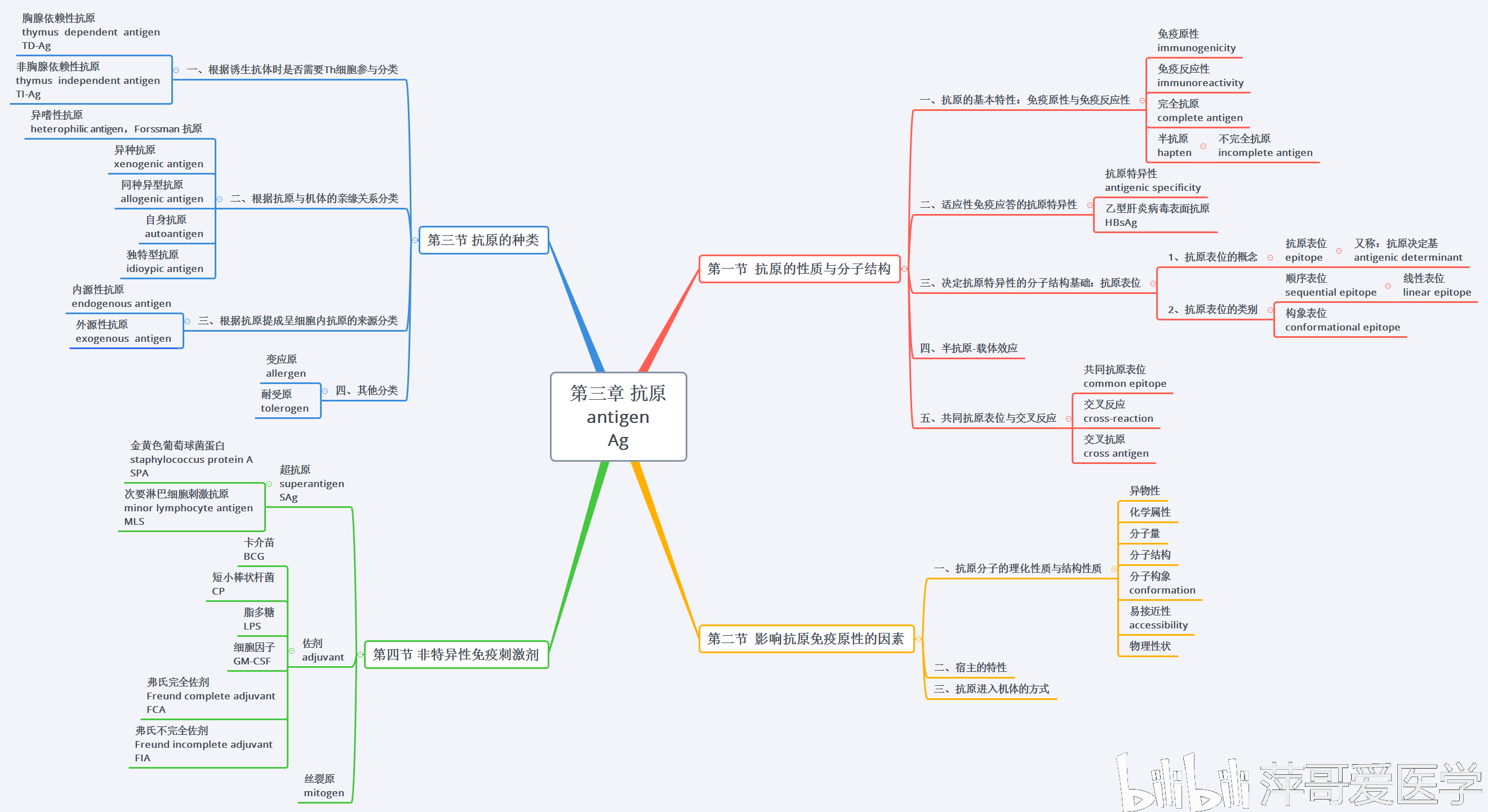 医学免疫学思维导图名词中英文对照沈阳医学院15章萍哥20191204更新