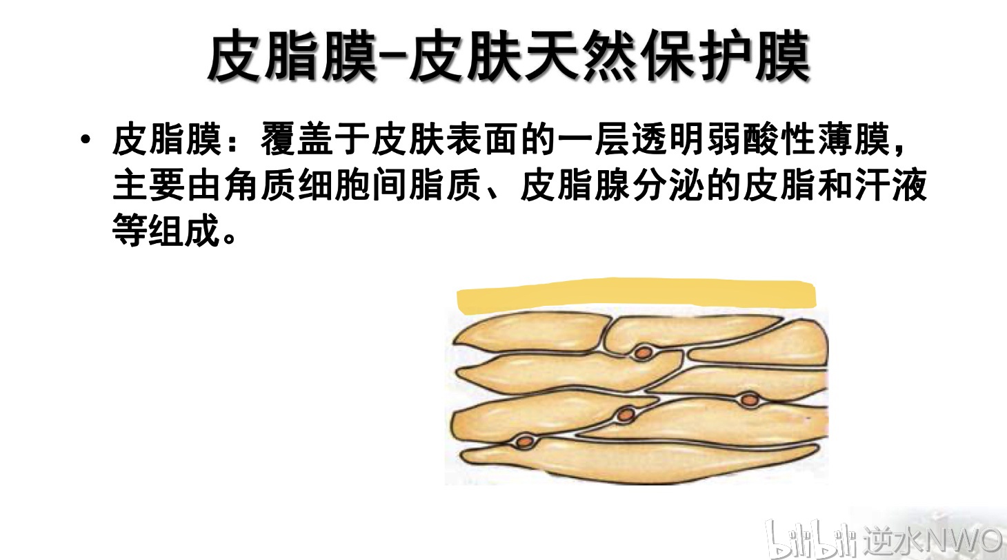 皮脂膜ph值为5.5到7.0之间,具有屏障,保湿,抑制微生物的作用