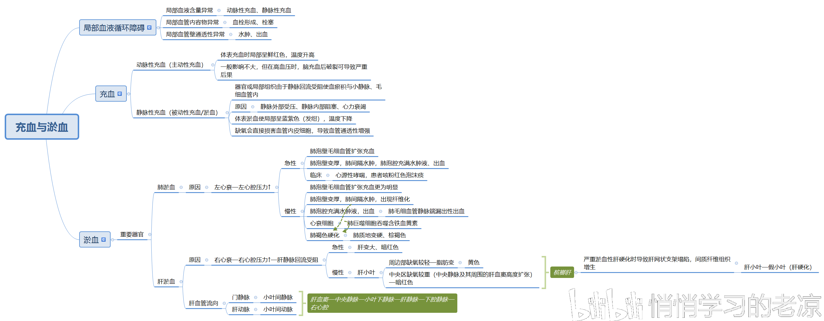 病理学思维导图总