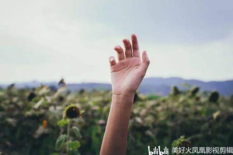 一人一口一只手打一个字,一人一口一只手打一个字是什么