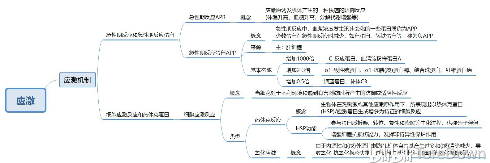 病理生理学 思维导图