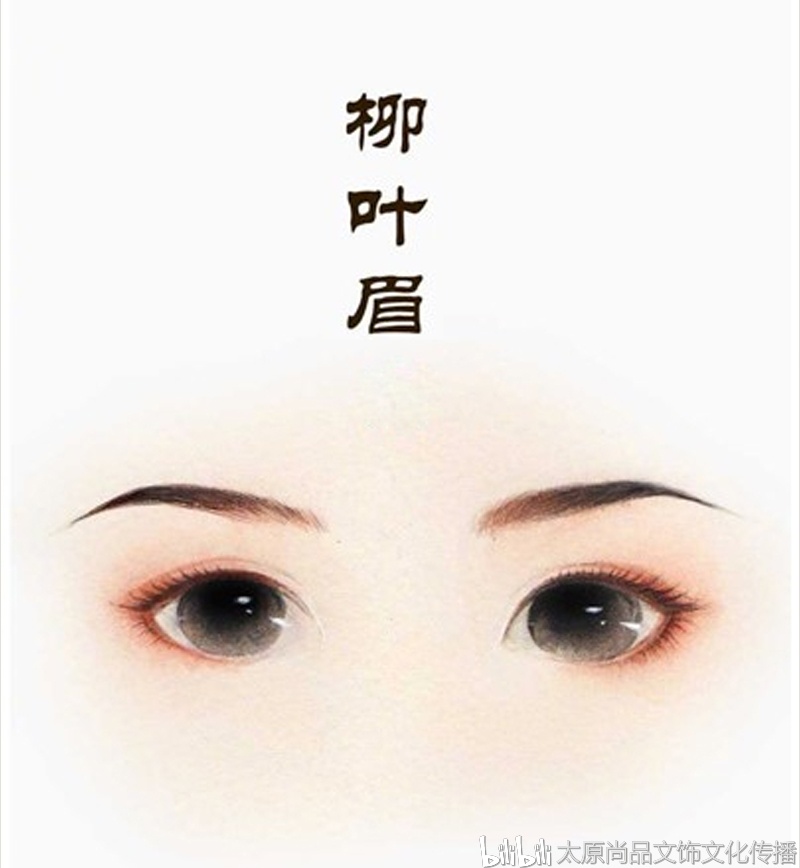 眉毛在中国古文化面相学中被称为"保寿宫"或"兄弟宫",眉毛当中暗藏着