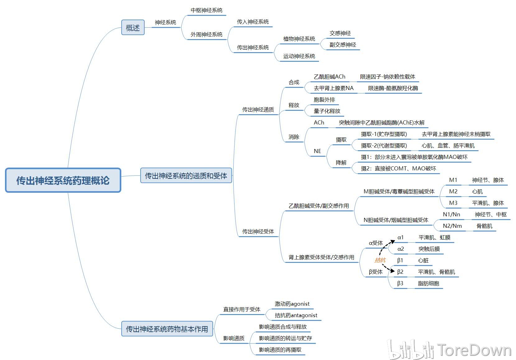 药理学(上篇) 思维导图