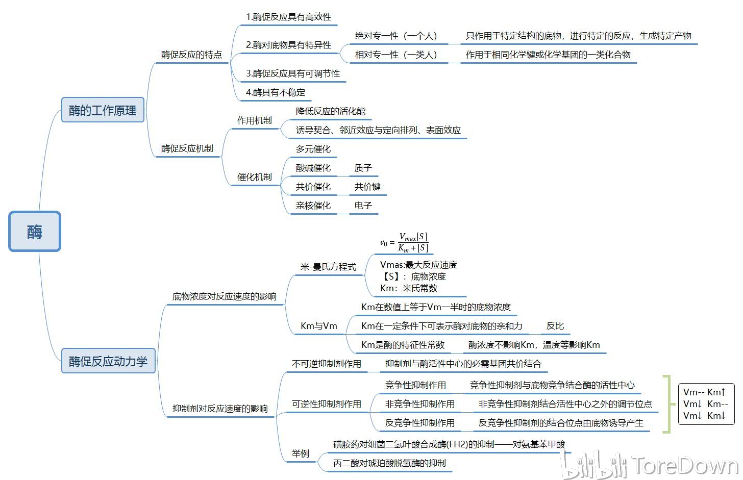 生物化学与分子生物学 思维导图