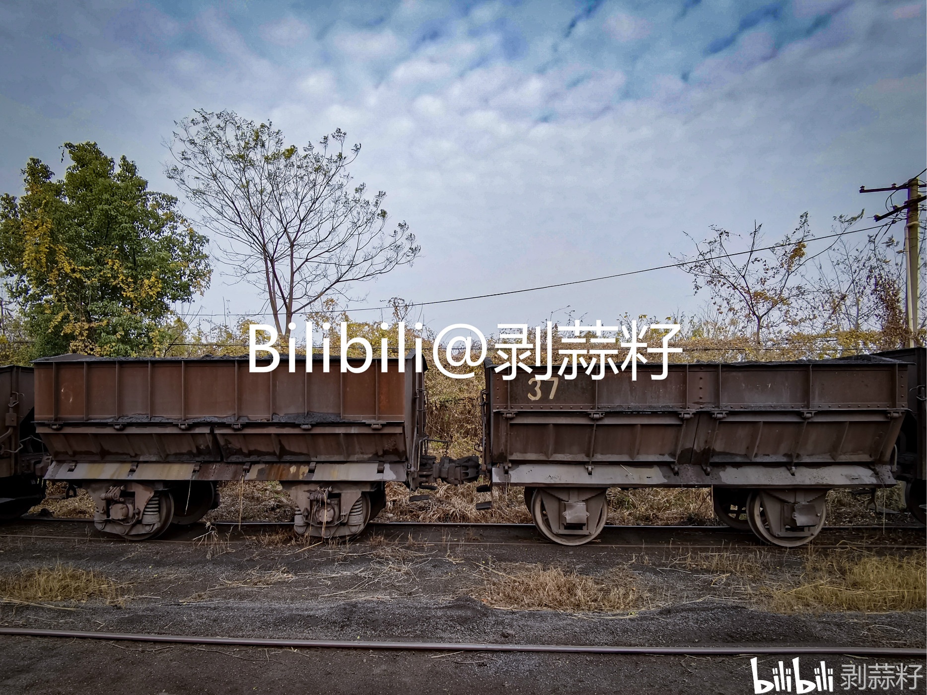 桃冲铁路现存的车皮都是二轴翻斗敞车,在国铁淘汰二轴货车近60年后