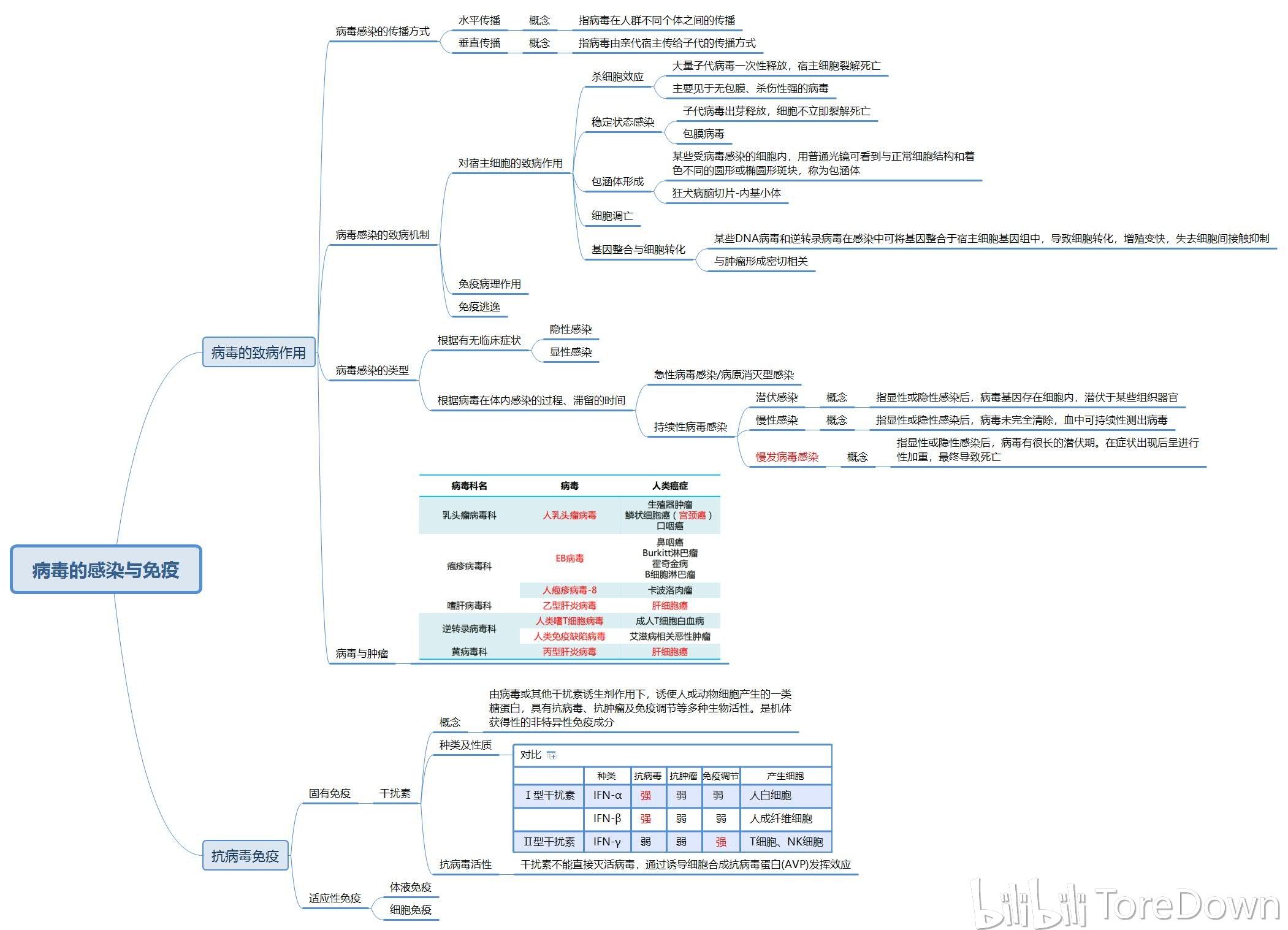 医学微生物学(病毒,真菌篇) 思维导图