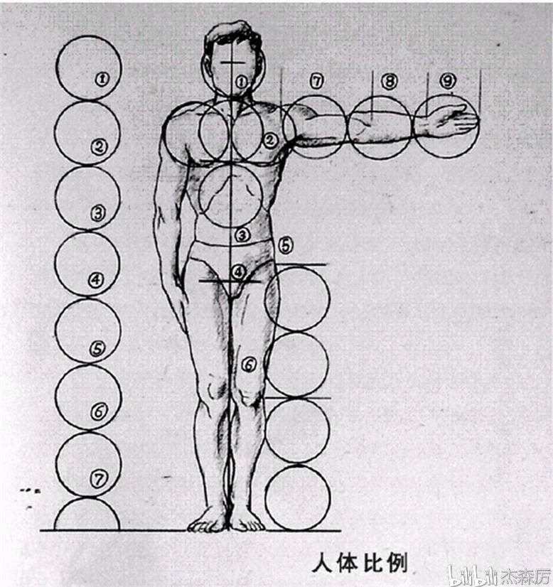 也就是俗说的:站七,坐五,盘三半,跪四   比例:站7坐5蹲3半,这是