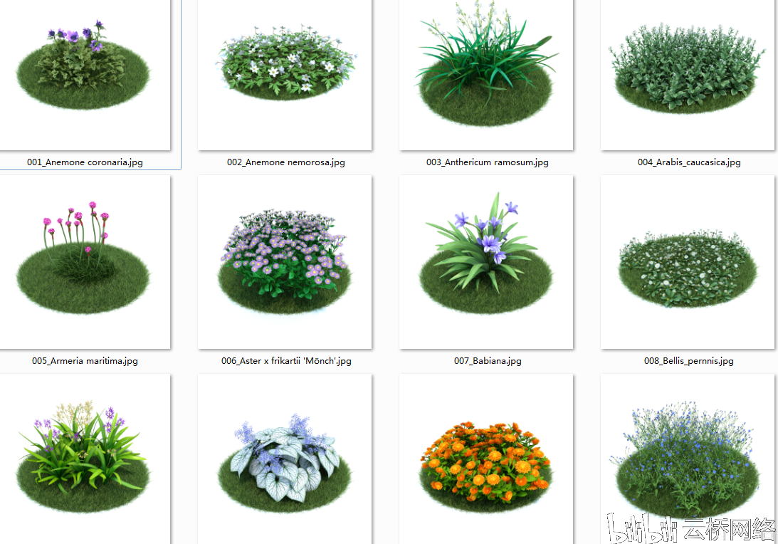 园林景观设计花草植物模型合集含材质贴图