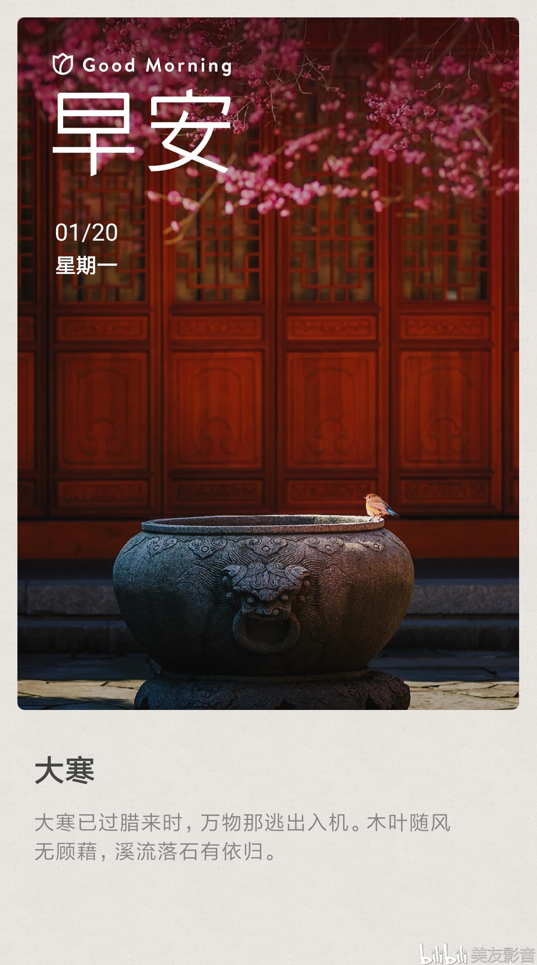【每日一图】美友早安画报(元月份合辑)
