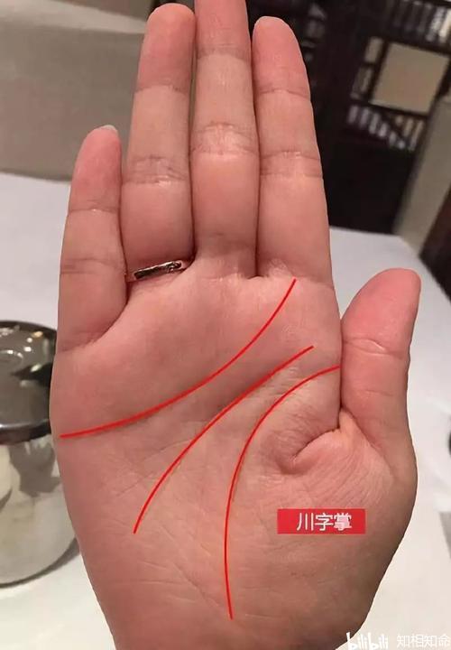 人纹也称之为智慧线,是先天的三大主纹之一,其长出的位置在天纹与地纹