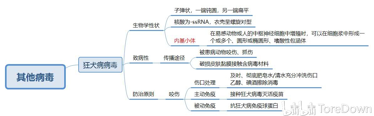 医学微生物学病毒真菌篇思维导图