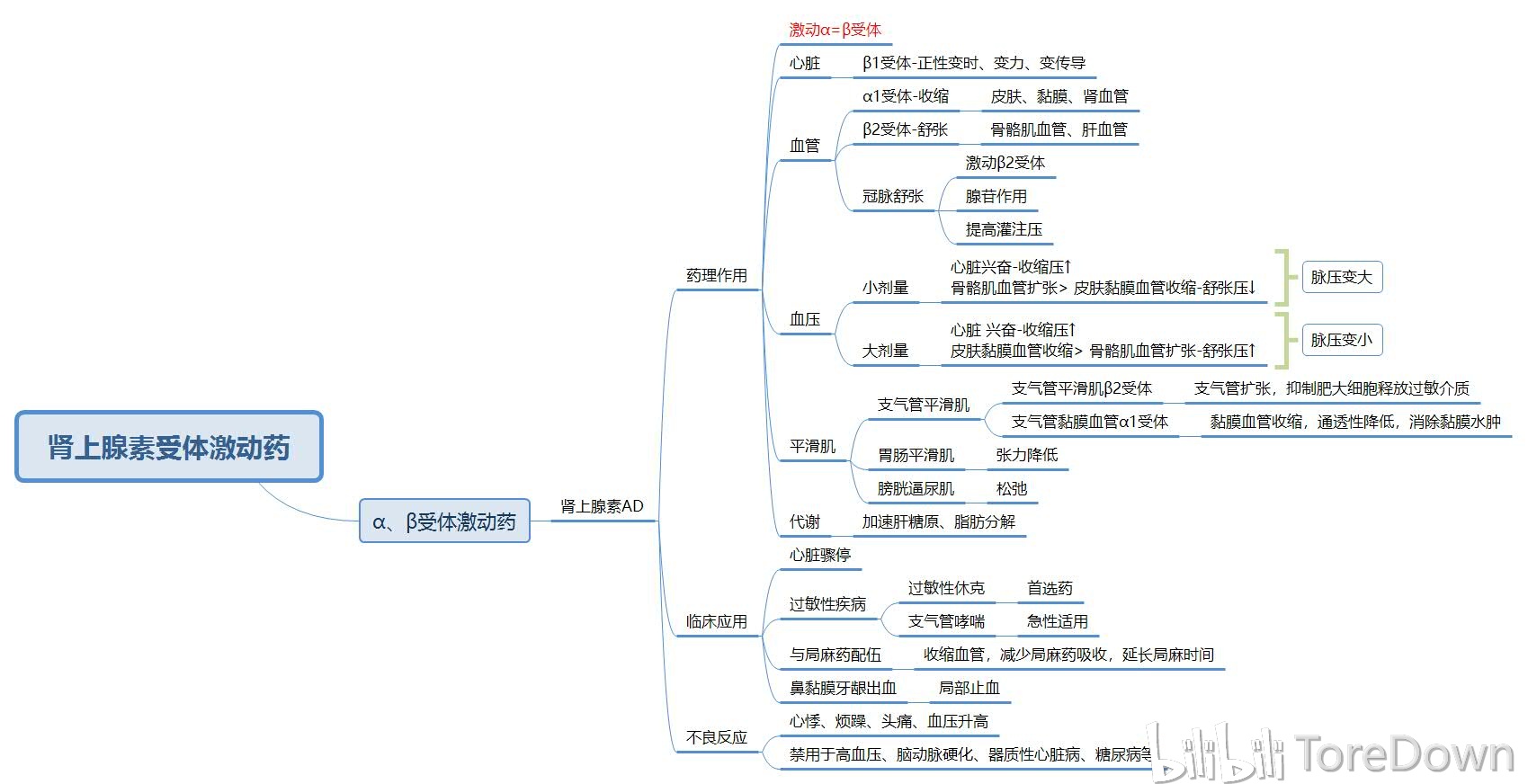 药理学上篇思维导图