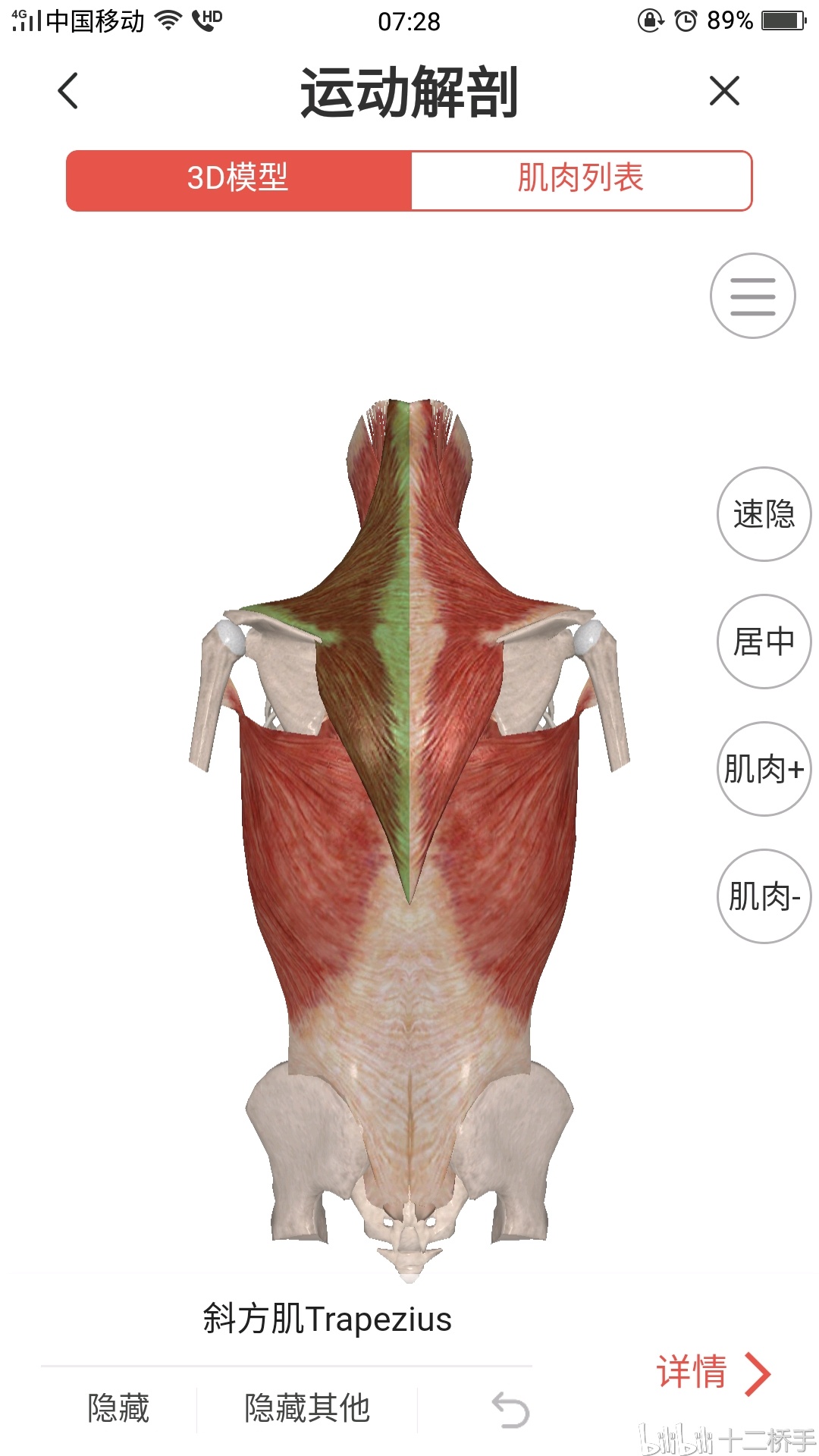 咏春拳结构学浅析(预告)