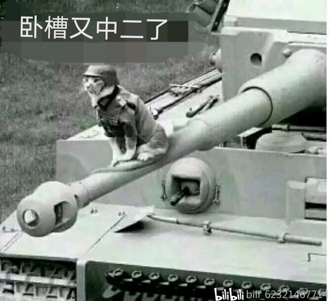 虎式重型坦克自身重量达到56吨,虽然使用的迈巴赫12缸发动机,功率700