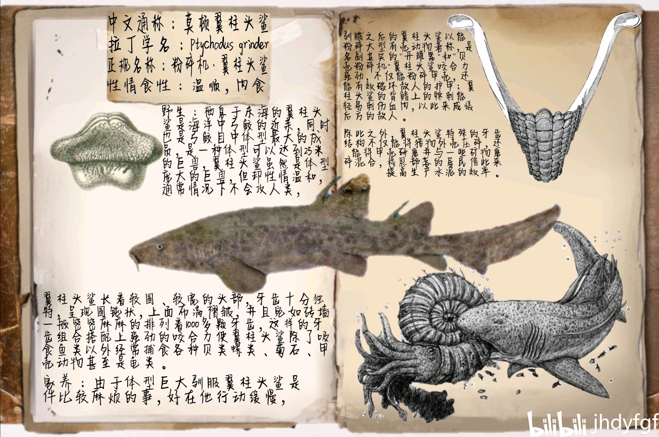 方舟生存进化自创生物图鉴——莫顿翼柱头鲨