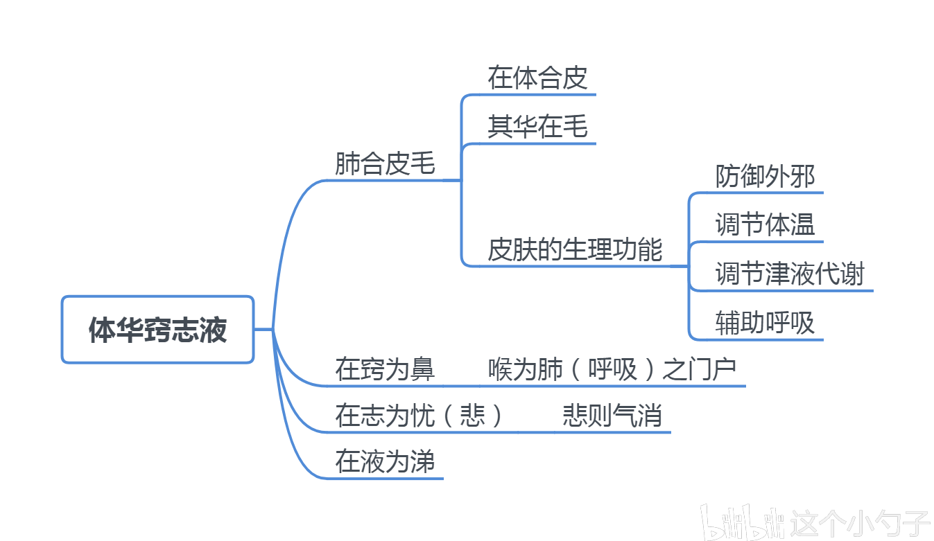 中医考研思维导图(中基—藏象,心,肺)