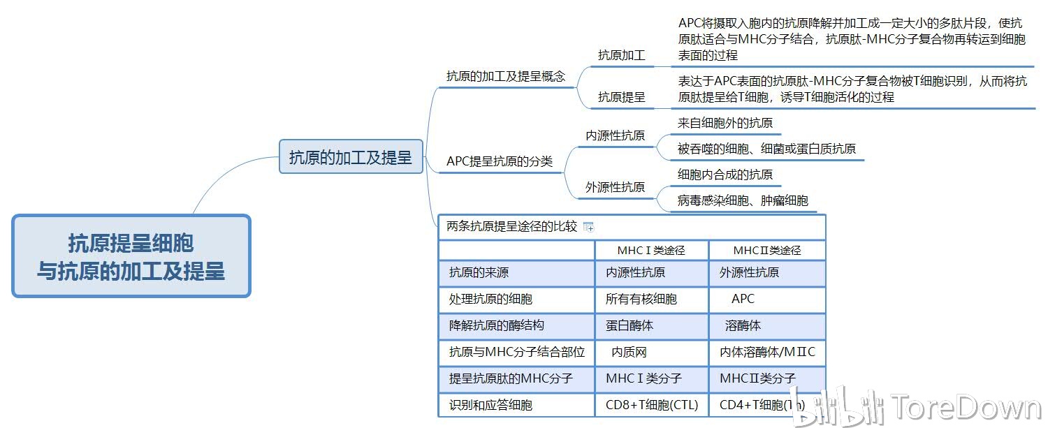 医学免疫学(上篇) 思维导图