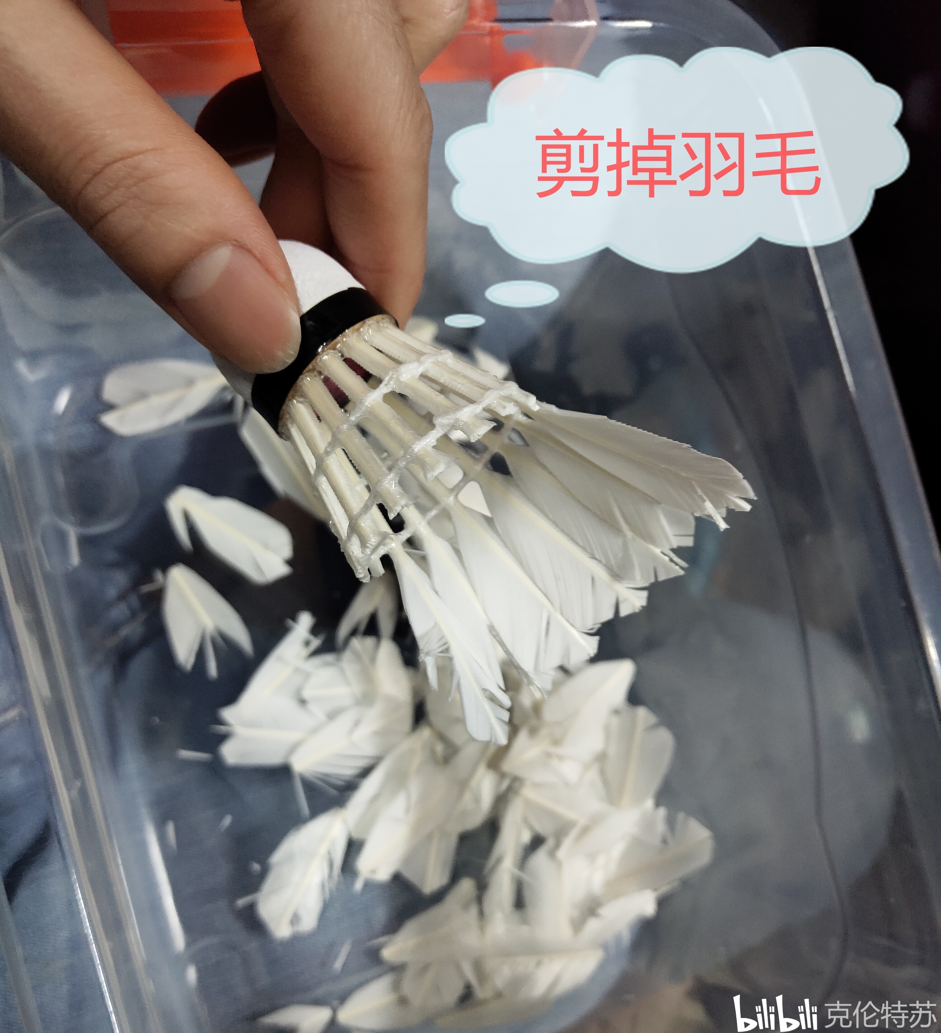 a98cfb944c2e10be8cd25ff0a6a01f62f878b48d.jpg