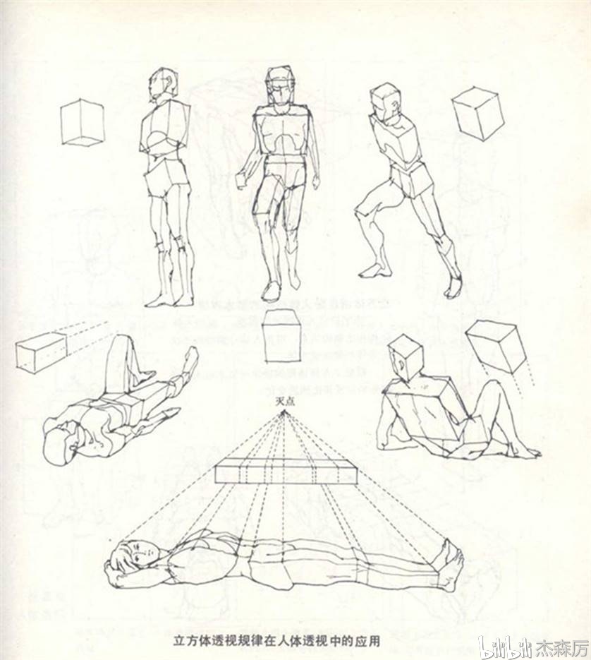 素描人体结构比例教学