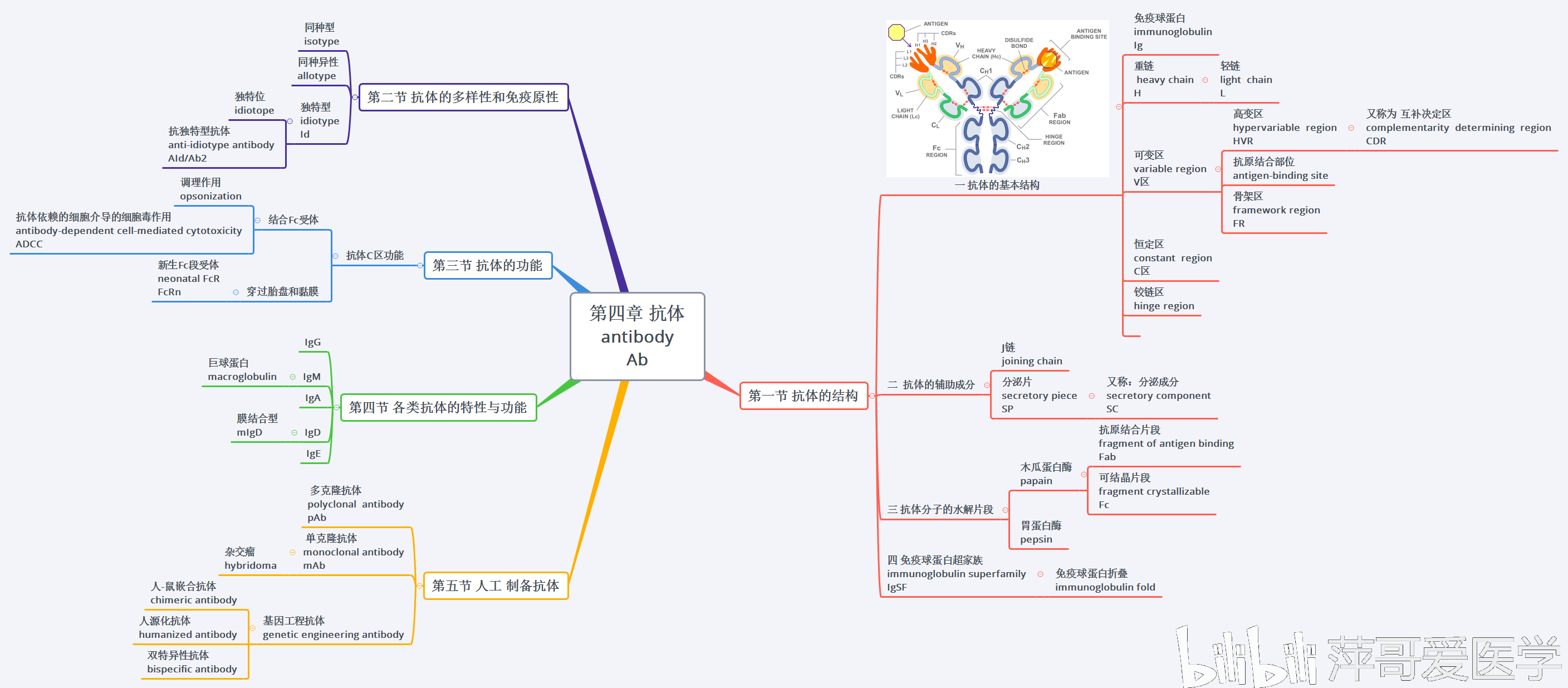 医学免疫学思维导图名词中英文对照沈阳医学院15章萍哥20191204更新