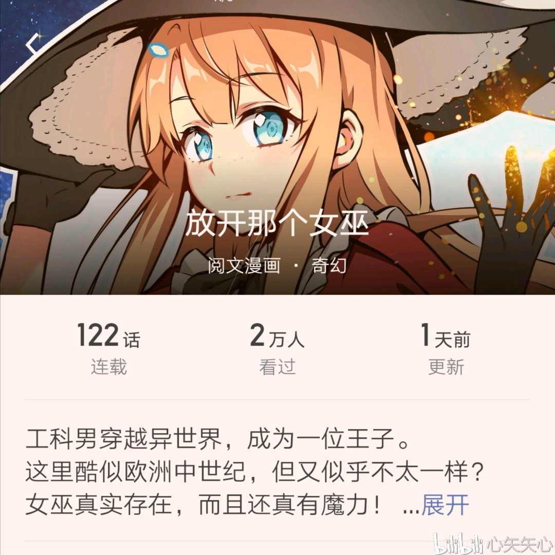 《放开那个女巫》 《放开那个女巫》以奇幻元素为主,又不同于其他