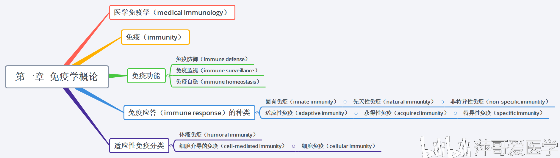 医学免疫学思维导图名词中英文对照沈阳医学院15章萍哥20191204更新