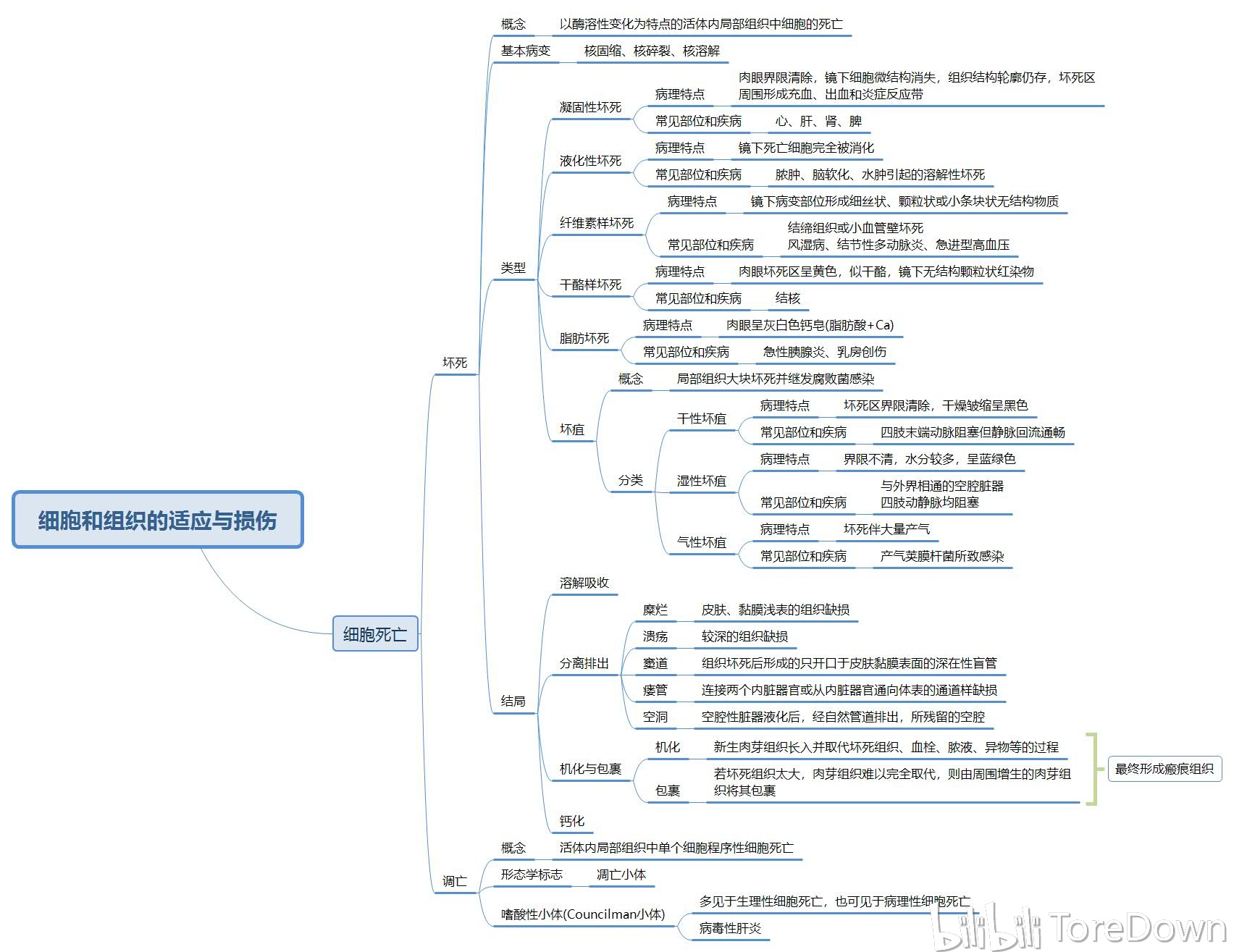 病理学 思维导图