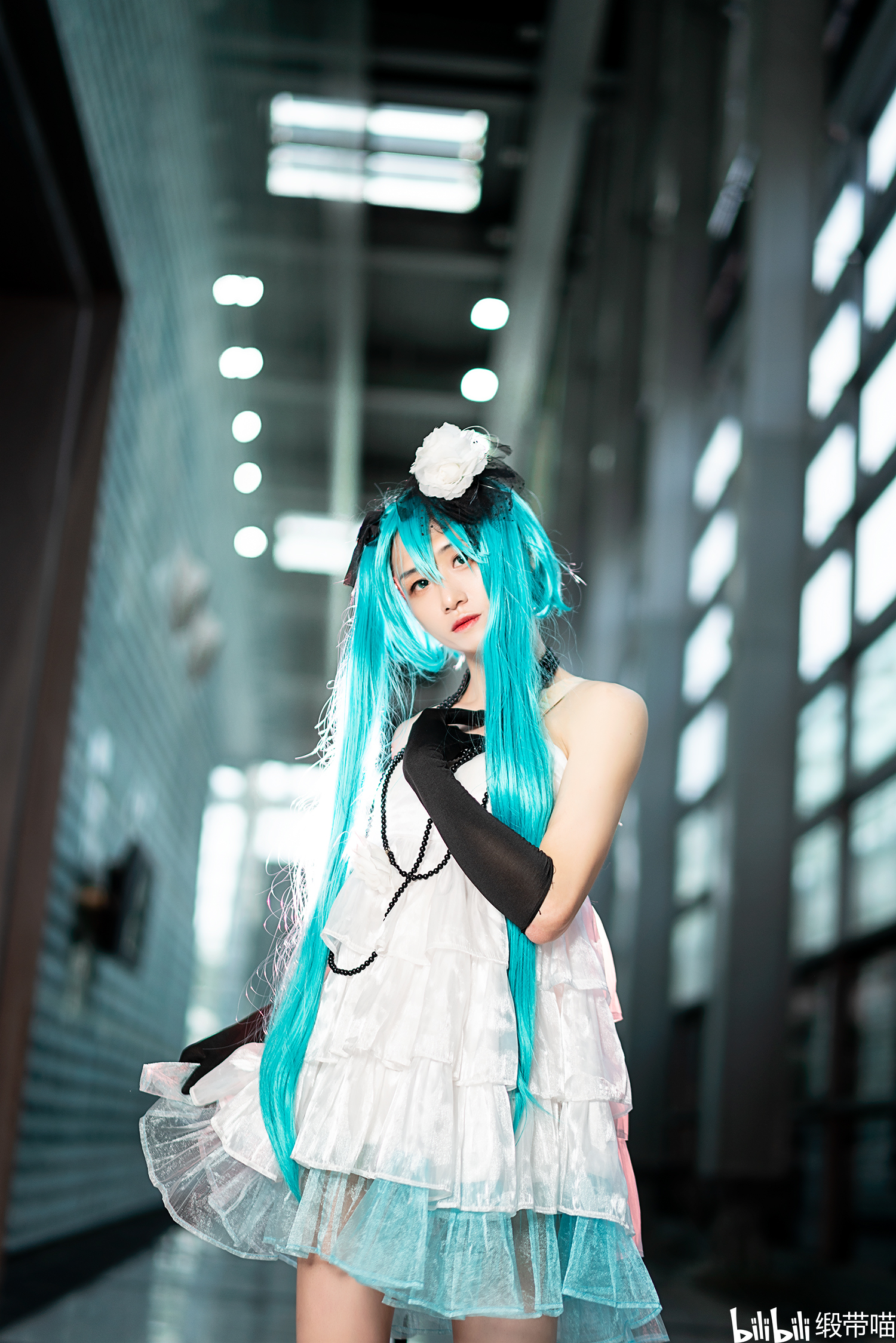 初音未来 山茶花礼服cos 2021深圳无限幻想动漫潮玩嘉年华场照