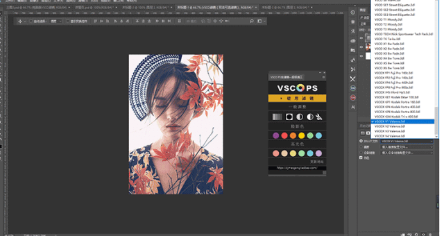 第420期【滤镜】vsco 全滤镜 photoshop 调色插件面板