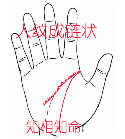 be06380cb69efe2da16c0c3443d09c0e137a852e.jpg