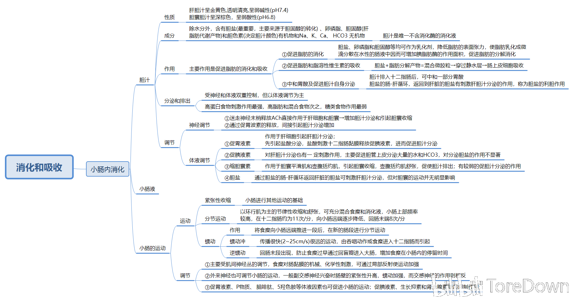 生理学思维导图