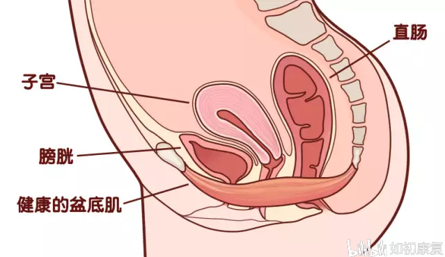 c10a48c17f594dbb6ed52533a5216f405e446c0e.png