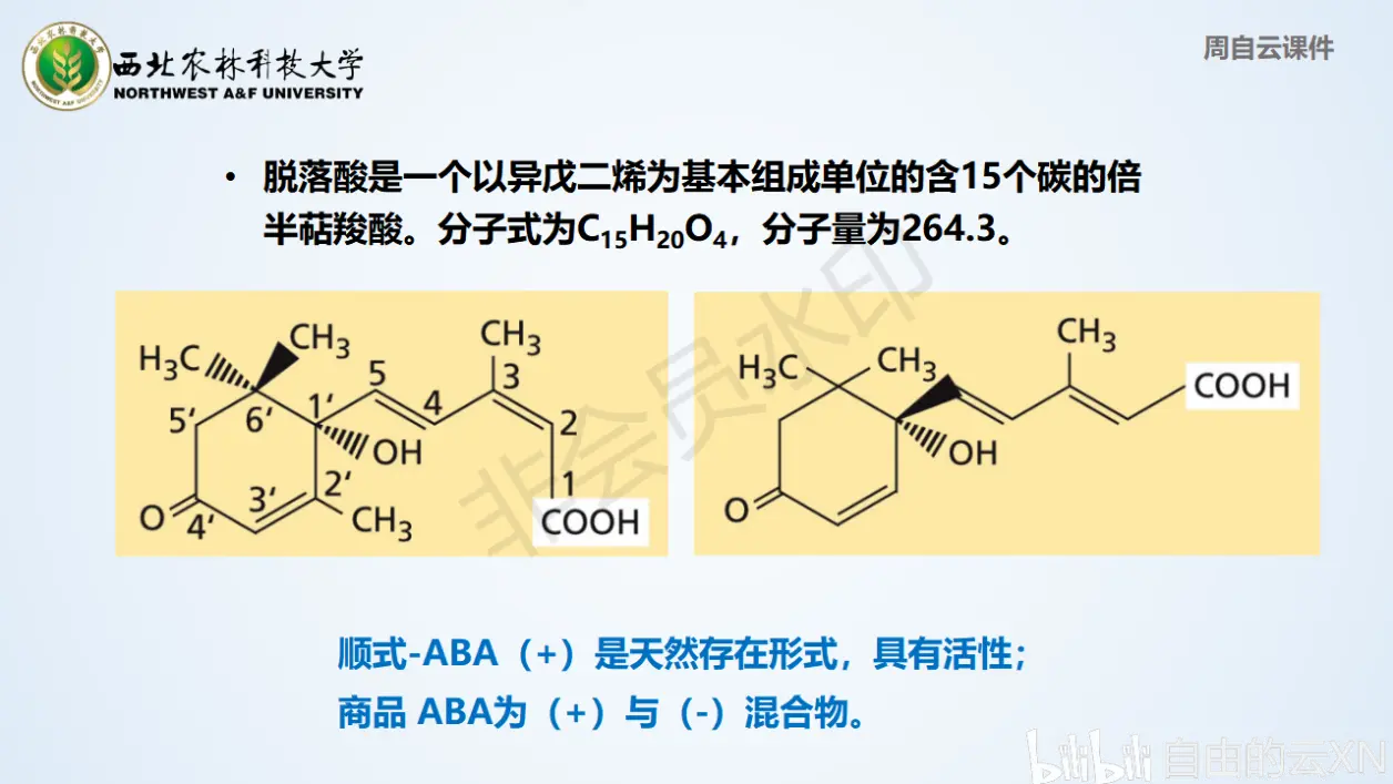 激素ppt-2
