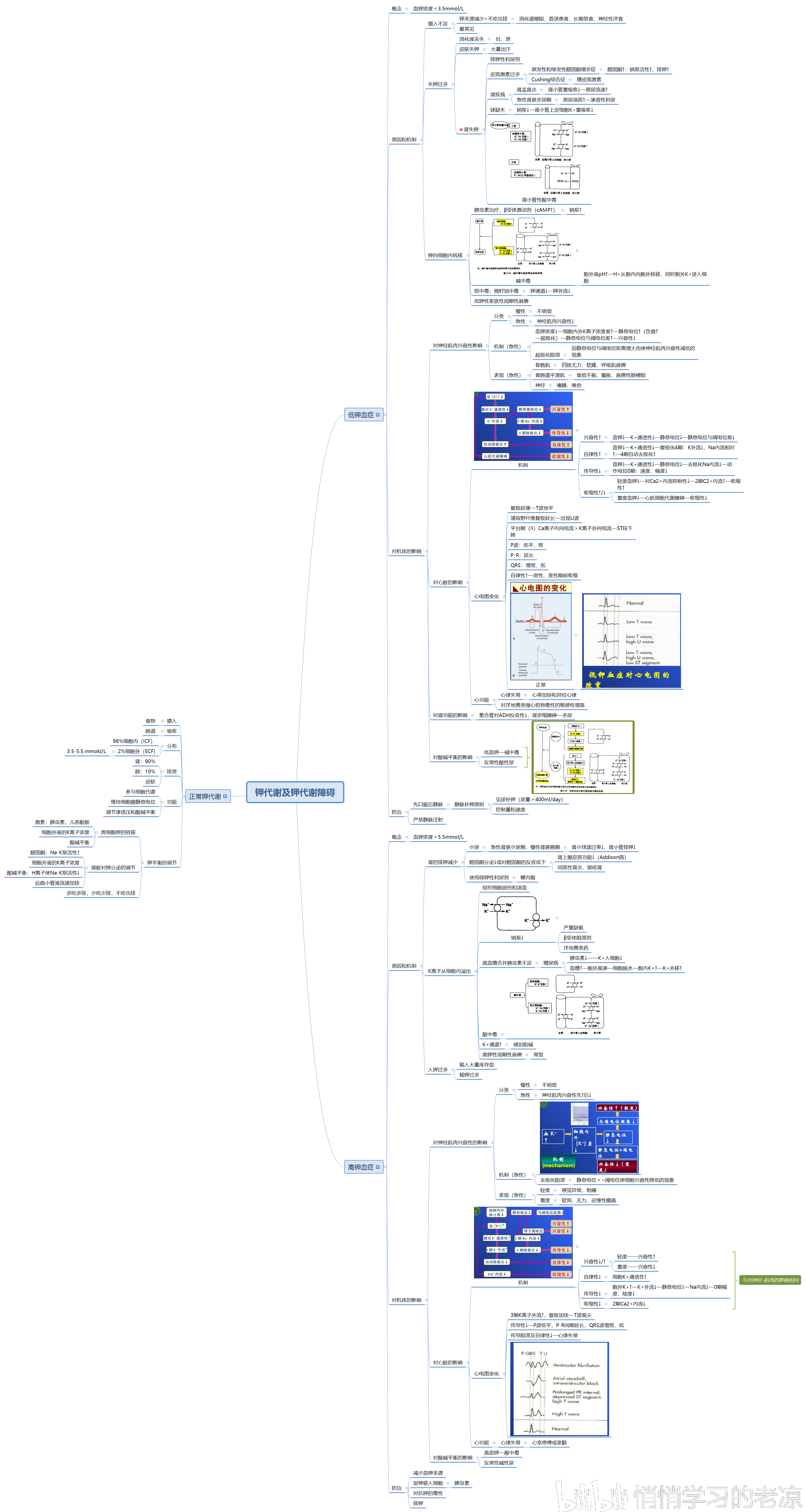 病理生理学思维导图总