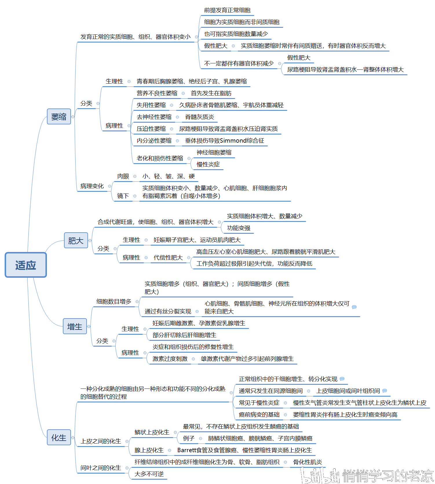 《病理学》 《药理学》思维导图