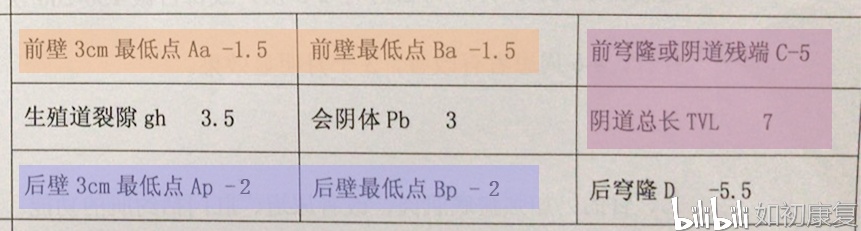 盆底筛查报告中的popq测量数据