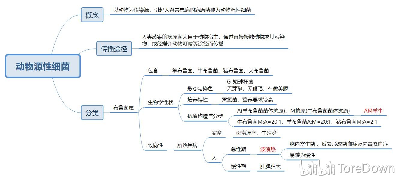 医学微生物学思维导图