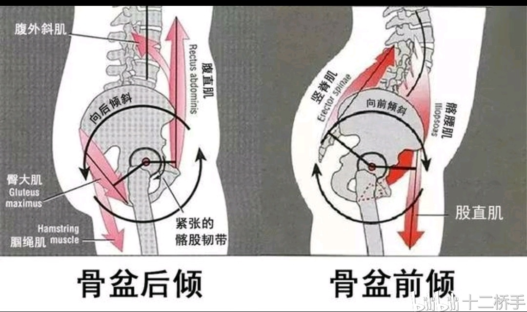 咏春拳结构学浅析(预告)