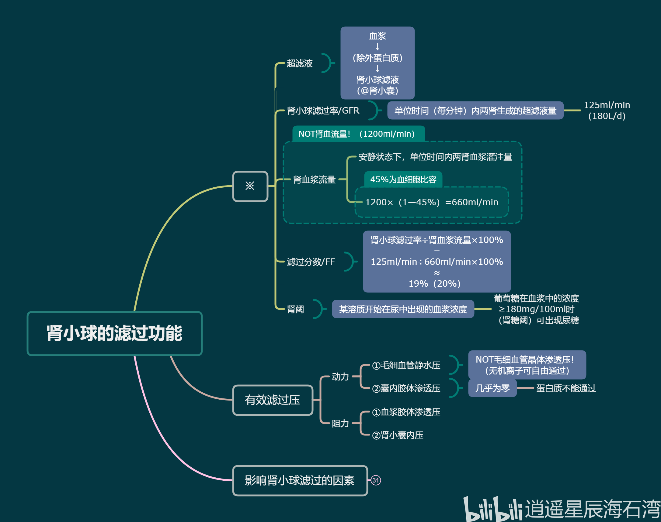 肾小球的滤过功能(上)