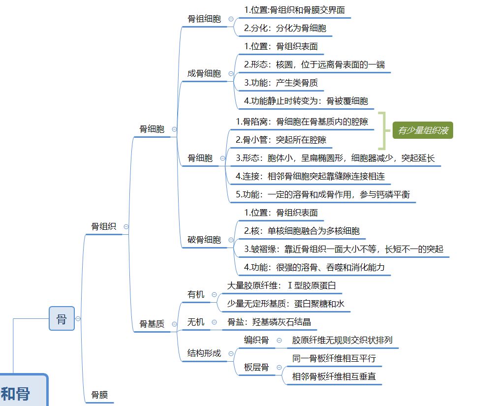 组织学与胚胎学部分思维导图