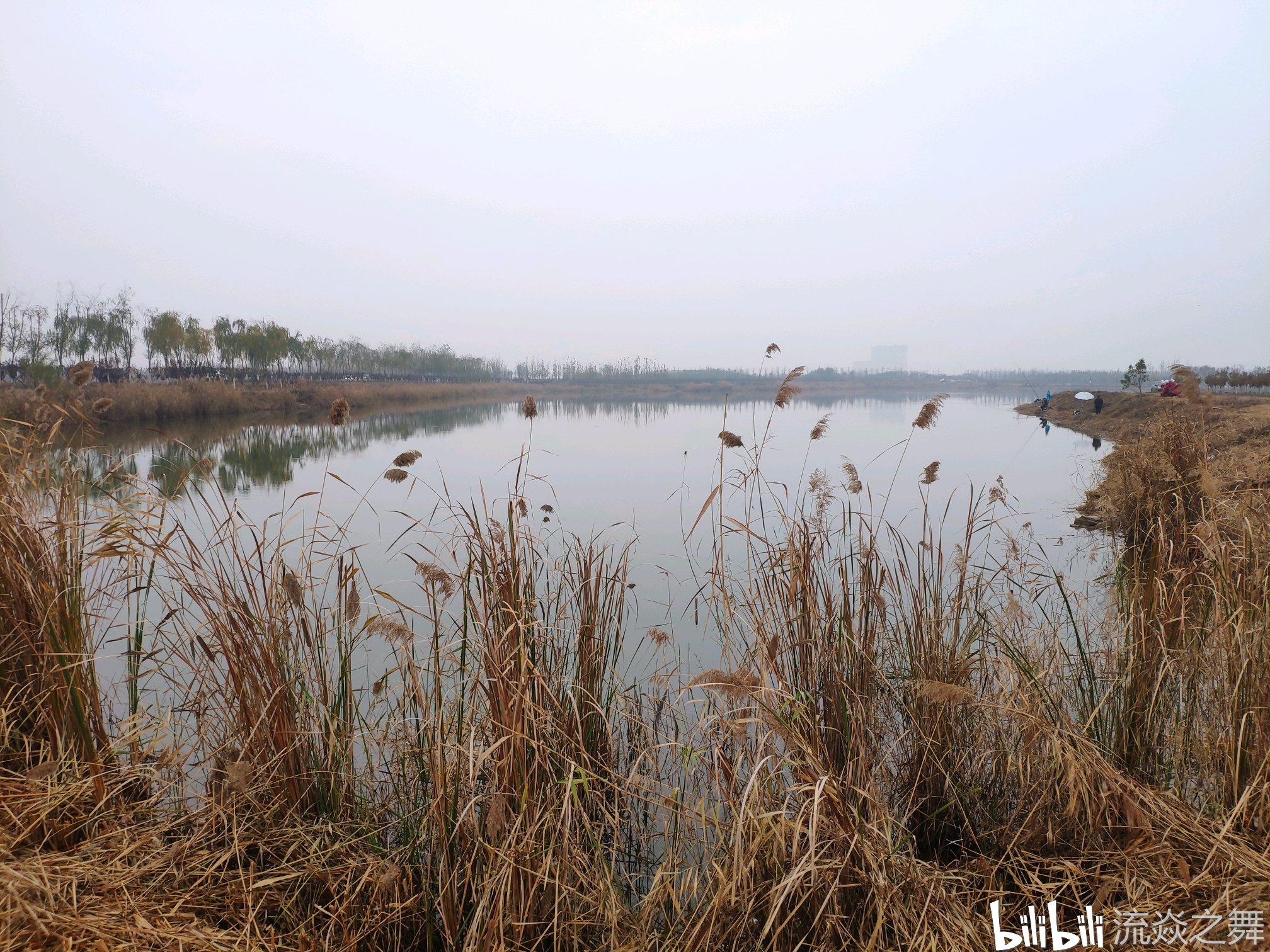 大寺河西侧有钓鱼圣地龙湖湿地,据说这是济南鱼类最丰富且允许垂钓