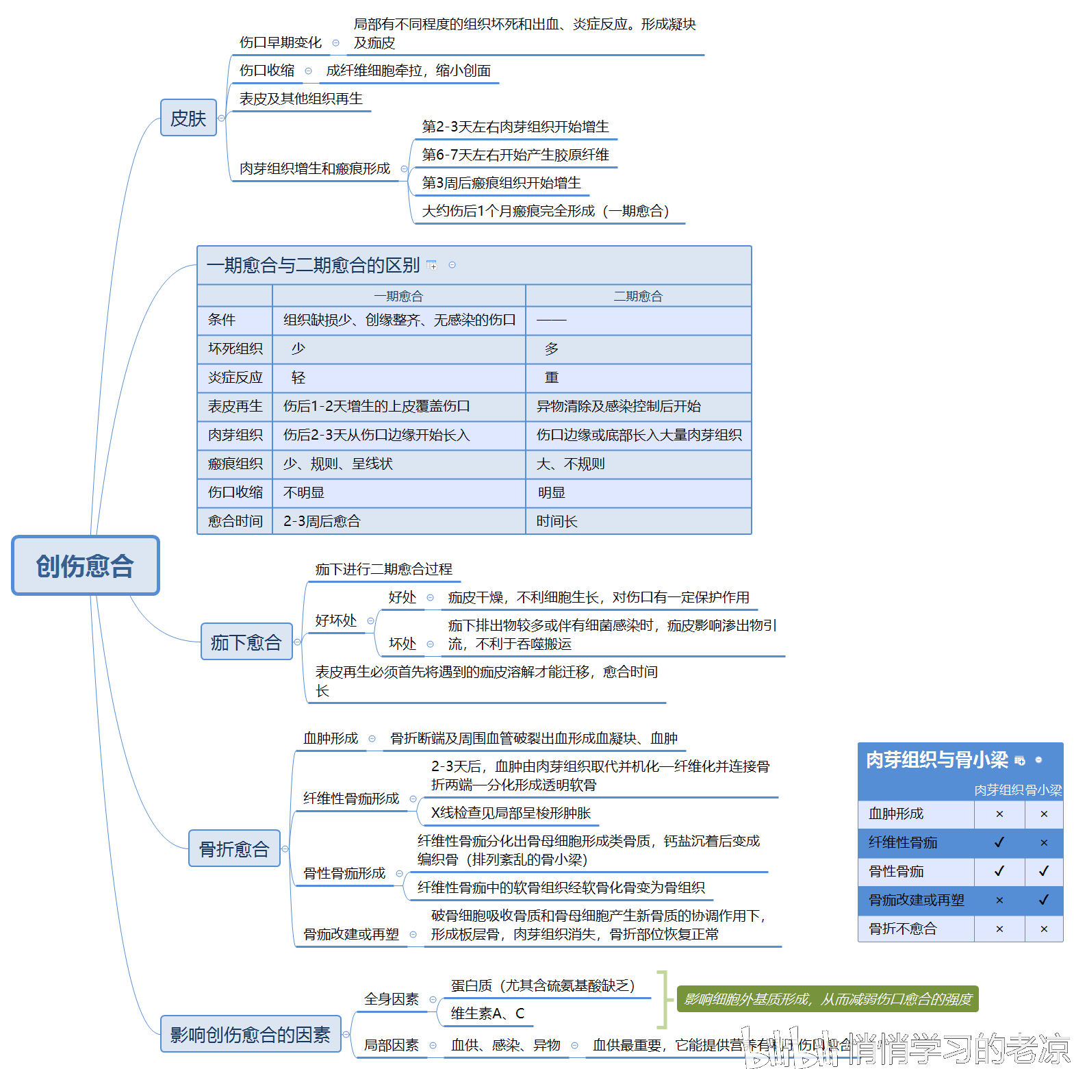 《药理学》 《病理学》思维导图