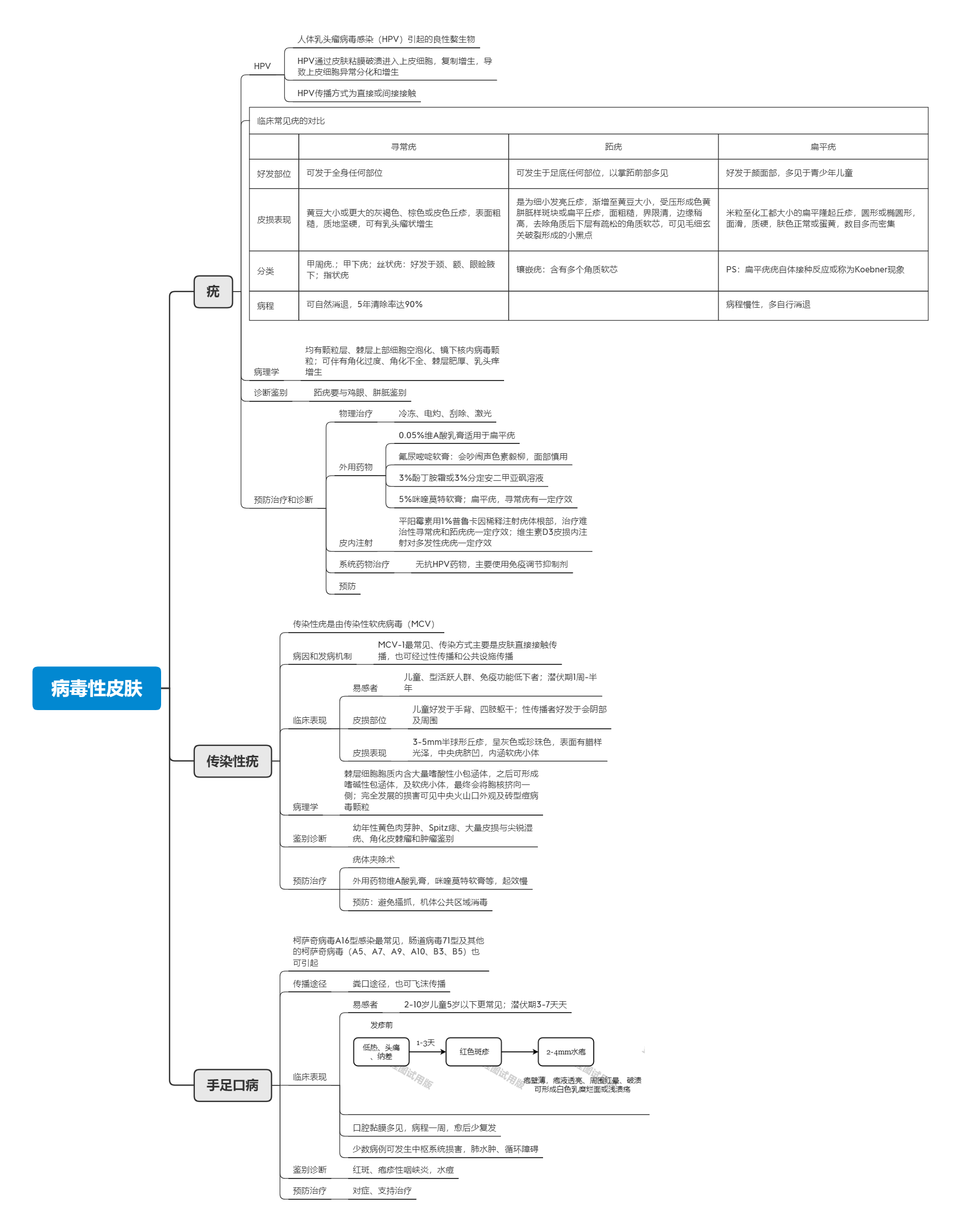 皮肤性病学思维导图