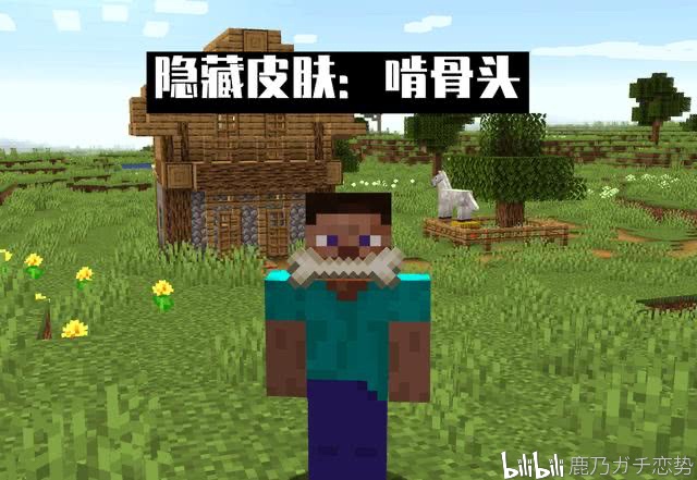 关于《我的世界》隐藏皮肤的小"彩蛋"!