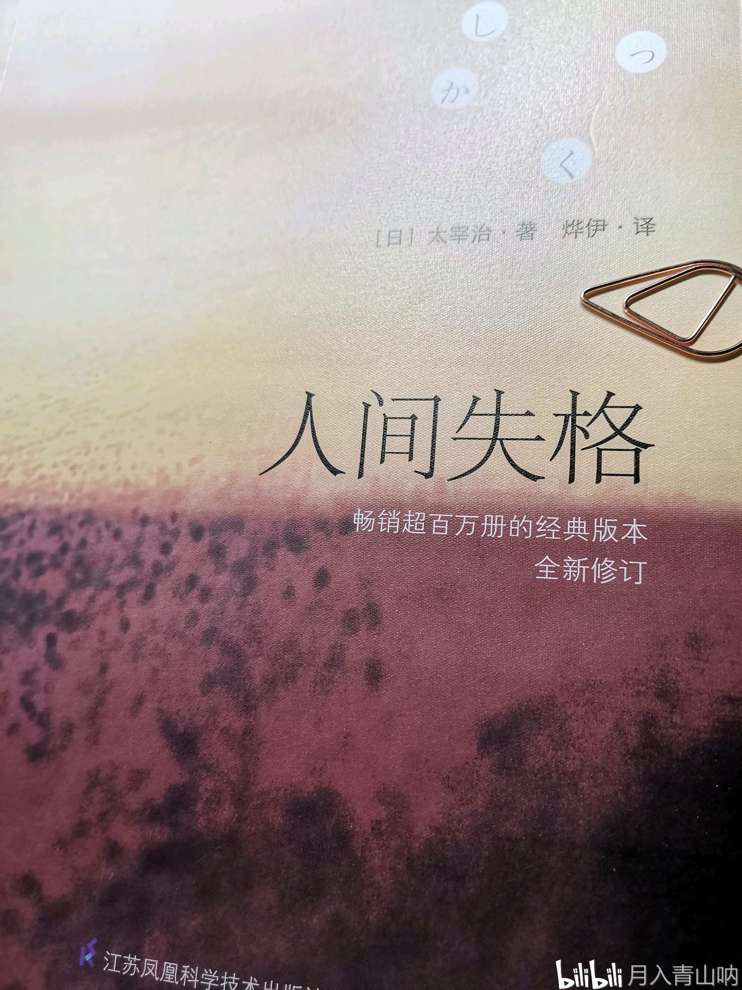 人间失格讲的是什么值得阅读吗 dbe0d67f4c8dac1601beb2243ce344589c84199b.jpg
