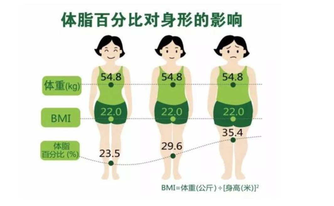 正常成年人的体脂率分别是 男性15~18%和女性25~28.