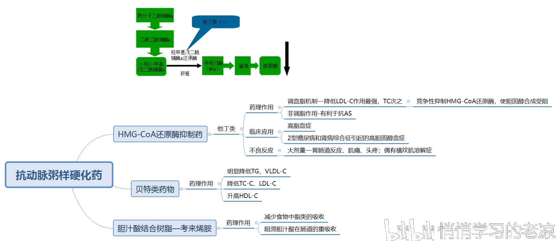 《药理学《病理学》思维导图