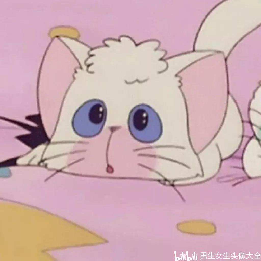 头像|情侣头像|知道熬夜会猝死之后我才发现 我他妈是