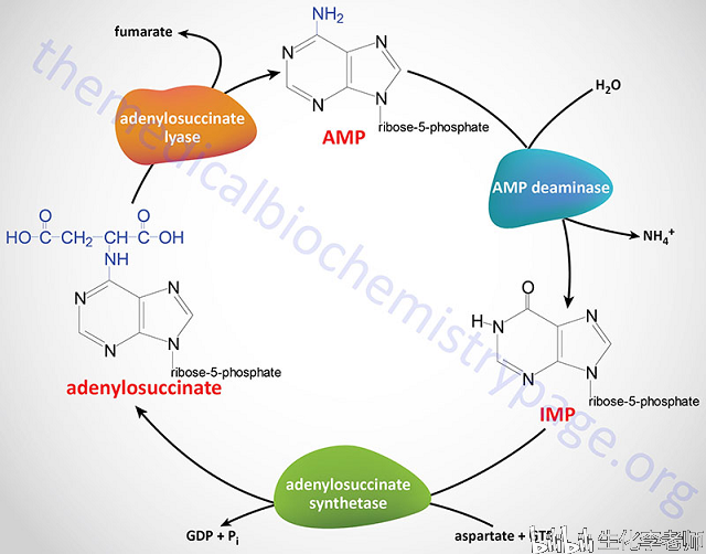 e828190eb6c8ee1a76839d16db0ec60dd02f1af1.png